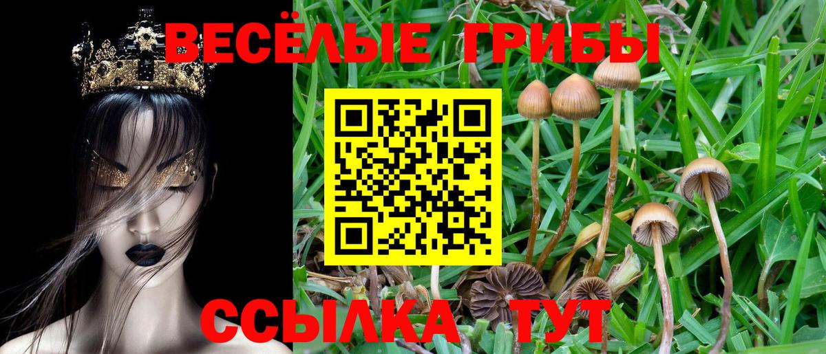 Псилоцибиновые грибы прущие грибы Чайковский